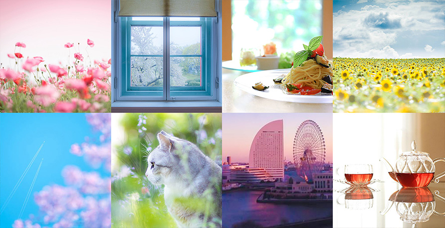 写真イメージ:LIFE with CAMERA