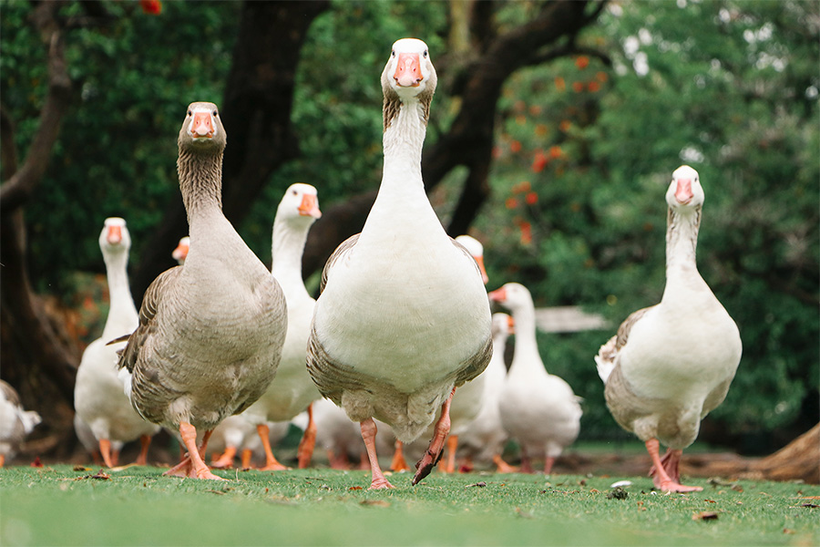 ローアングルイメージ