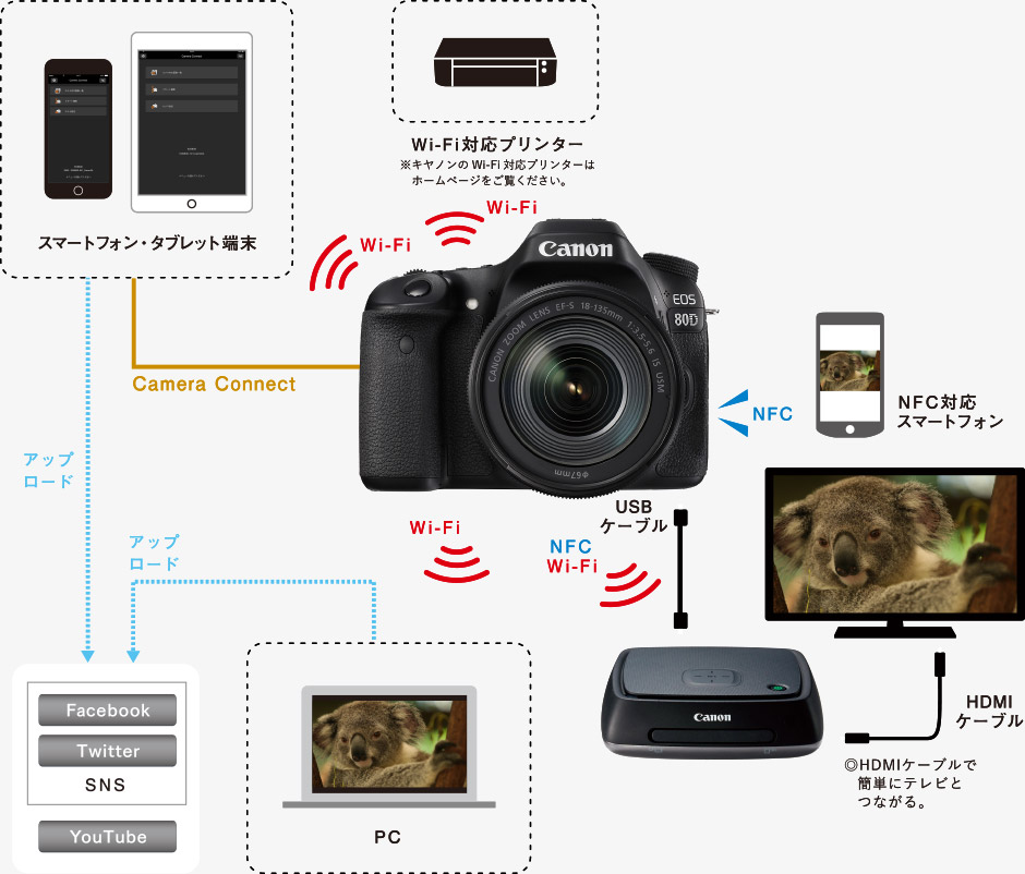 WiFi活用で広がる楽しみ方
