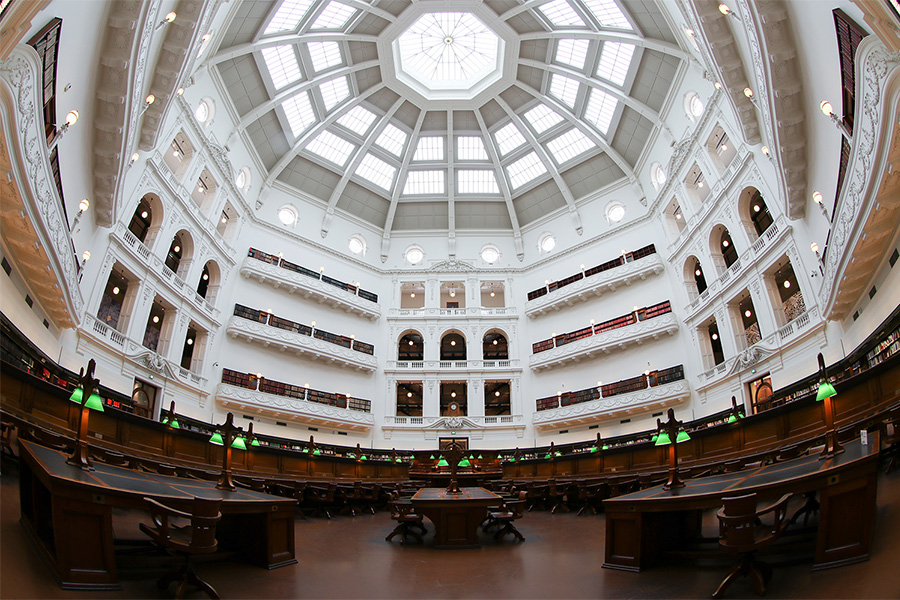 映像エンジン性能イメージ