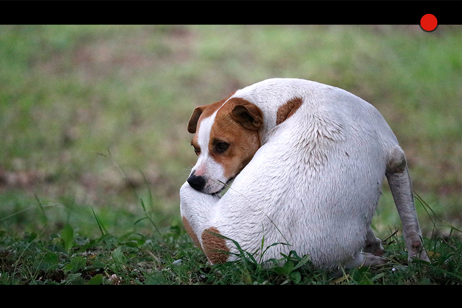 EOS MOVIEイメージ