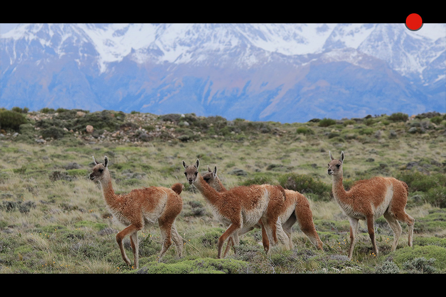 EOS MOVIEイメージ